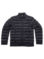 Navy (PMS 5395C)