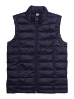 Navy (PMS 5395C)