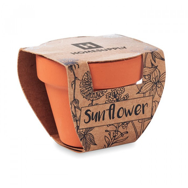 SUNFLOWER - Terracotta-Topf Sonnenblume