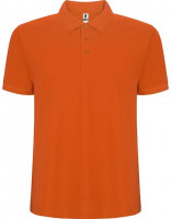 Orange 31