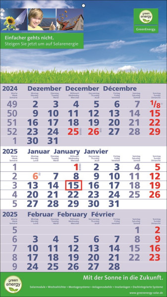 Standard 2 plus
