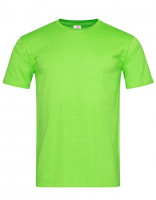 Kiwi Green