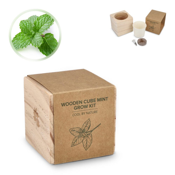 FSC-Holzpflanzgefäß-Set – Mint