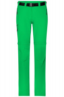 Fern-green (ca. Pantone 342C)