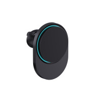 schwarz (± PMS Black)